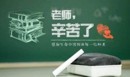 丽水老师教师节爆料新闻,致敬辛勤园丁，共谱教育新篇章